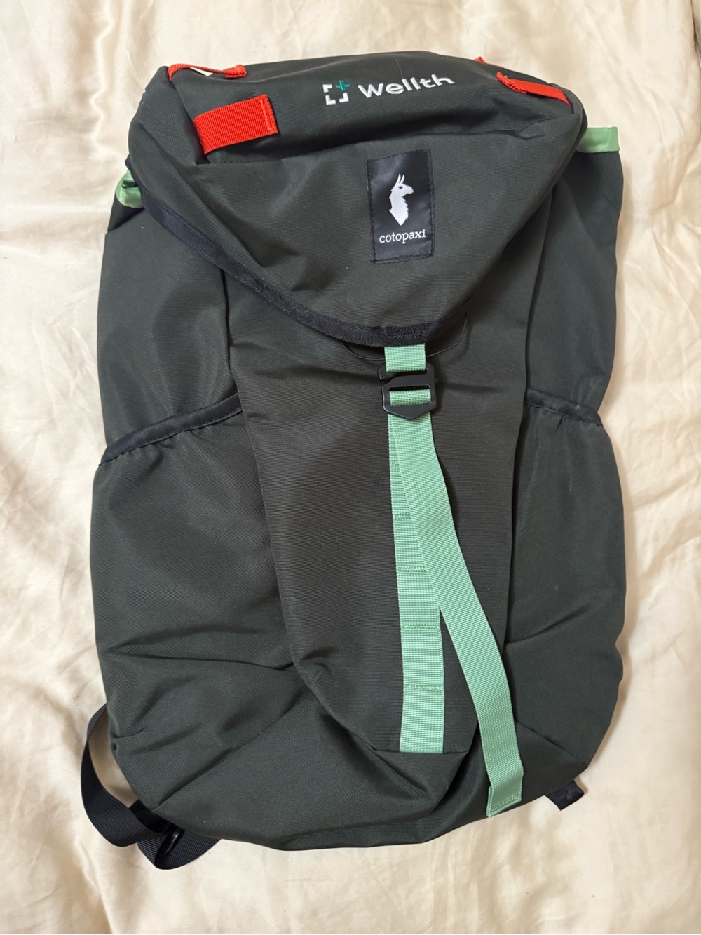 Cotopaxi Tapa 22L Backpack
